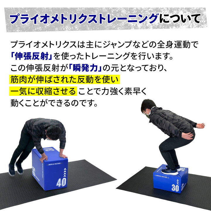 楽天市場】【エントリーでP10倍＆割引クーポン有】 プライオボックス 