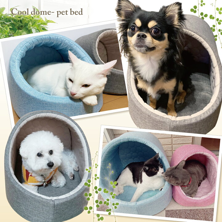 楽天市場 エントリーでp5倍 割引クーポン有 ドーム型 ペットベッド 犬 猫 ベッド ひんやり 冷感 ペット クール マット 夏 ハウス 犬用 ネコ おしゃれ かわいい 夏用 ドームベッド Sサイズ 地球問屋 楽天市場 エントリーでp5倍 割引クーポン有 ドーム型 ペットベッド 犬 猫 ベッド ひんやり 冷感 ペット クール マット 夏 ハウス 犬用 ネコ おしゃれ かわいい 夏用 ドームベッド Sサイズ 地球問屋