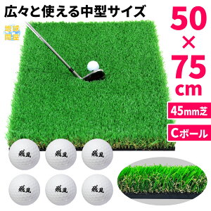 yGg[P10{N[|Lz St}bg 45mm t St K }bg fU XCO ACA Av[` Rough Turf K  O lH SBR 50×75cm t Ő St{