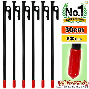 yGg[P10{ubNtCf[z yO 30cm x X`[yO Lv eg ^[v ݉c [U[n LH hKh SLbvt 6{Zbg