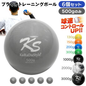 プライオボール 野球 球速アップ トレーニングボール 投手 プアボール サンドボール 練習 ウエイトボール 重いボール Plyoball 500g (6個セット)