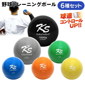 野球 トレーニング ボール ウエイトボール 球速アップ 練習 プアボール サンドボール 重い ボール ソフトボール 130g 150g 200g 300g 500g 1000g 6種セット