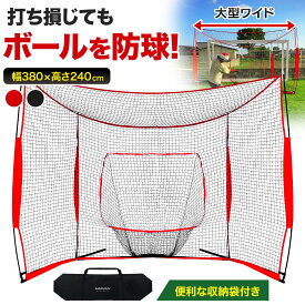 【エントリーでP5倍＆割引クーポン有】 野球ネット 大型ワイド 3.8×2.4M バッティング 練習 ネット バックネット 軟式 硬式 打ち損じも安心 意匠登録済 折りたたみ 持ち運び 屋外 室内 バッティングネット ピッチングネット 練習器具 野球 ソフトボール 240×380×120cm