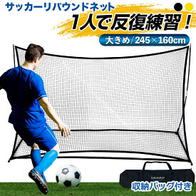 リバウンドネット サッカー 大型 室内 屋外兼用 リバウンダー リターンネット フットサル 練習 トレーニング クレイジーキャッチ 壁当て 子供 大人 UV保護加工 収納バッグ付き 大サイズ 160×245cm