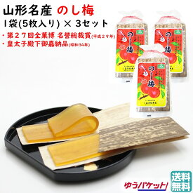 ＼最短発送／ のし梅 1袋(5枚)×3セット 玉屋総本店 山形名産 送料無料 (東北 山形 老舗 和菓子 乃し梅 お土産 ご当地 お菓子 お茶菓子 美味しい おすすめ 甘酸っぱい ゆうパケット)【A01】