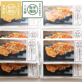 【B02】【夏ギフト】平牧金華豚三元豚特製餃子セット 1箱[計96個：1袋(12個)×8] (冷凍/JGY-08) 平田牧場/ブランド豚 送料無料 (東北/山形/詰め合わせ/ぎょうざ/お返し/御祝/内祝/美味しい/おいしい/うまい/おすすめ)【父の日/プチギフト/お中元/お歳暮】