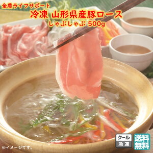 Ⓚ R`Y؃[XԂ 500g S_CtT|[g  ubNtCf[ Ε (k R` ؓ Ԃ j j   ̓ Ă v`Mtg) yD04