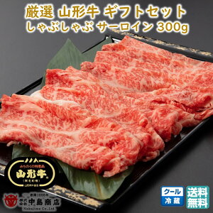 I R` Ԃԗp T[C(300g) јa uh Ă  ubNtCf[ Ε (k R`  V   蕨 v`Mtg) yE05z