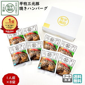 _ŒZ^ cq qO؏Ăno[OMtgZbg (Ⓚ HSF19-7) uh  ubNtCf[ Ε (k R` Ԃ j j   Ⓚ) y