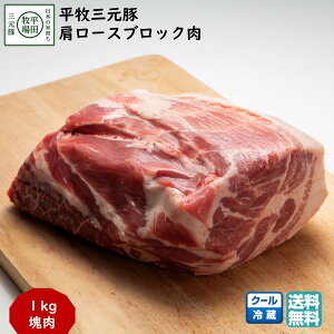 _ŒZ^ cq qO،[XubN 1kg (①) uh   ubNtCf[ Ε (k R` Ԃ j j  ) yB02z