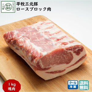 _ŒZ^ cq qO؃[XubN 1kg (①) uh   yY c䌩 (k R` Ԃ j j  ) yB02z