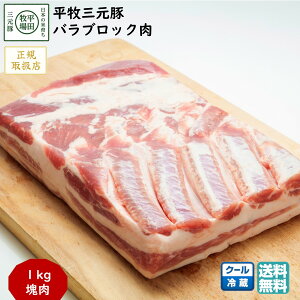 ���c�q�� ���q�O���؃o���u���b�N�� 1kg ���K�戵�X (�①) �u�����h�� ��� �������� ���̓� �ăM�t�g ������ ������ (���k �R�` ���Ԃ� ��j ���j ) �yB02�z