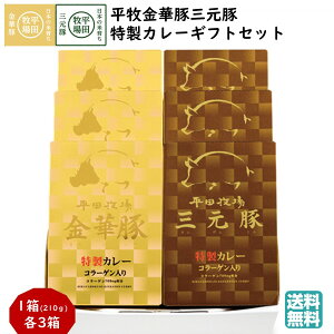 _ŒZ^ cq qؓ؎OؓJ[MtgZbg (퉷 VCR18-2) uh gg R[Q  yY c䌩 (k R` Ԃ j j  