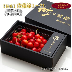 �������� ������ ���G L�`2L 500g �����\�� �R�`�������Y ���I�_�� �I�n�͔| �Y�n���� ����� 6�����{���� ������ �ăM�t�g �����p ���ϔ��� �yS19�z