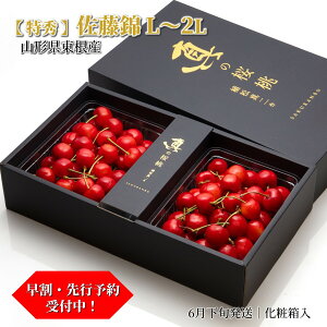 �������� ������ ���G L�`2L 1kg�i500g×2�j�����\�� �R�`�������Y ���I�_�� �I�n�͔| �Y�n���� ����� 6�����{���� ������ �ăM�t�g �����p ���ϔ��� �yS19�z