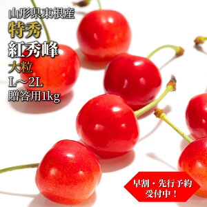 �������� �g�G�� ���G L�`2L 1kg(500g×2) �����\�� �R�`�������Y ���I�_�� �I�n�͔| �Y�n���� ����� 6�����{���� ������ �ăM�t�g �����p ���ϔ��� �yS19�z