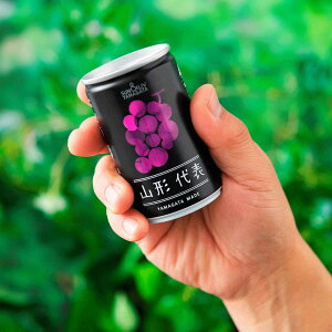 _ŒZ^ Iׂ R`\t[cW[X 1 SUNLIV YAMAGATA (R`Y ʕ ʏ` 100 gp   EtX  Ԃǂ() Pi 160g R`Y n  yY 