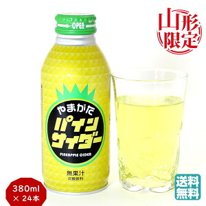 _ŒZ^ ܂pCTC_[ 380ml × 24{ nTC_[ Y_ nhN u₩pC g R` Oaʋl  (k R` \[ hN  