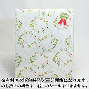 _ŒZ^ Օ(҂炻)  1(2H) X[vt yn[z iR`߉s LX̖  אk ؂Ώ yY   V