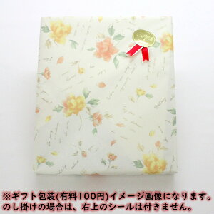 R`Y EtXW[X 100ʏ` 500ml r MtgΉ c䌩 mW[X mȂ tX ʎW[X ϔyA01z