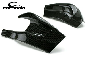 Carbonin CB1055�J�[�{�� �X�C���O�A�[�� �v���e�N�^�[ BMW S1000RR (10-18)