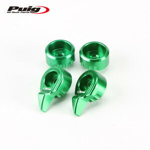 Puig 3699V v[` o[ZN^[ 3.0 yA O[(REPAIR SELECTOR 3.0 GREEN)