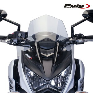 Puig 6401W NEW GENERATION SPORT [CLEAR] Kawasaki Z800 (13-16) Z800E (13-16) v[` XN[ JE