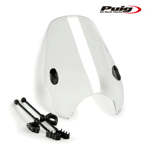 Puig 0336W SCREEN CUSTOM II [CLEAR] ėp v[` ECh V[h XN[ JE