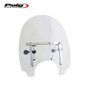 Puig 1984W SCREEN DAYTONA III [CLEAR] ėp v[` ECh V[h XN[ JE