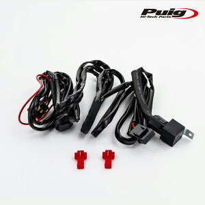 Puig 3541N AUXILIARY LIGHTS tHOv yA z + XCb`Zbg v[` ėp LED Cg