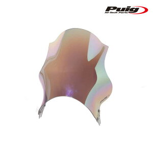 Puig 4120Y WINDSHIELD TRACK [IRIDIUM] ėp v[` XN[ JE