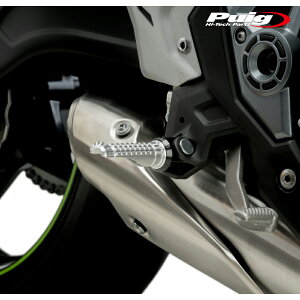 Puig 9192P R-FIGHTER FOOT PEGS [SILVER] �v�[�` �t�b�g�y�O