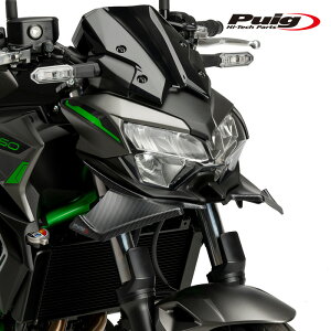 Puig 21134C DOWNFORCE NAKED FRONTAL SPOILERS [CARBON PRINT] Kawasaki Z650 (21-25) �v�[�` �t�����g�_�E���t�H�[�X �l�C�L�b�h�X�|�C���[