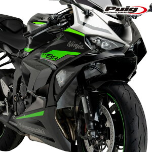 Puig 21858C DOWNFORCE RACE SIDE SPOILERS [CARBON LOOK] Kawasaki ZX-6R NINJA (24-25) �v�[�` �T�C�h�_�E���t�H�[�X�X�|�C���[