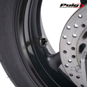 Puig 8100N RACE VALVES [BLACK] 2��1SET ��8.3 �ėp �v�[�` �G�A�[�o���u