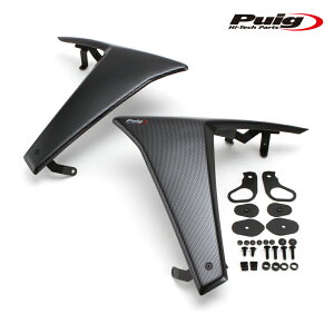 Puig 22080C DOWNFORCE NAKED SIDE SPOILERS [CARBON LOOK] YAMAHA MT-09(24-) �v�[�` �T�C�h�_�E���t�H�[�X �l�C�L�b�h�X�|�C���[
