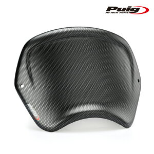 Puig 22138C ABS FRONTAL PLATE[CARBON PRINT] HONDA CB650R NEO SPORTS CAFE (24-25) v[` tgpl [bPv[g