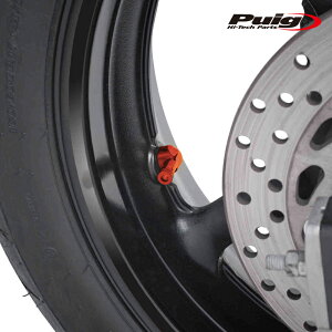 Puig 8100T RACE VALVES [ORANGE] 2��1SET ��8.3 �ėp �v�[�` �G�A�[�o���u