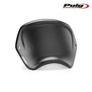 Puig 3590C FRONT PANEL [CARBON LOOK] KAWASAKI VULCAN S (15-25) etc.v[` tgpliABSjgbvubW}Eg