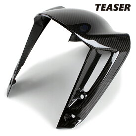 TEASER FFD06G FRONT FENDER【DRY CARBON HG】 DUCATI　X-DIAVEL ティーザー カーボン フロント フェンダー