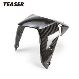 TEASER FFD09G FRONT FENDER【DRY CARBON HG】 DUCATI　MONSTER821 （21-） MONSTER821 STEALTH （21-） カーボン フロント フェンダー