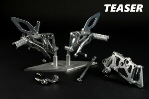 TEASER�yA5D1S�z�i�e�B�[�U�[�j�X�e�b�v SILVER BMW�@S1000RR�s10-14�tPremium Line�@��p