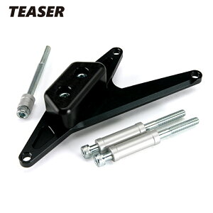 TEASERyE3K1KLz(eB[U[jXC_[ BLACK/L GOOSE@350sSN@250͕st