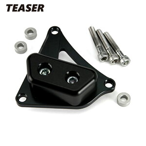 TEASERyE3K1KRz(eB[U[jXC_[ BLACK/R GOOSE@350sSN@250͕st