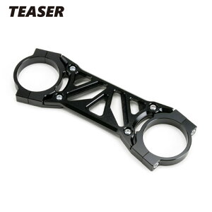 TEASERyO4C1Kz (eB[U[) tH[NX^rCU[ BLACK ZEPHYR1100s-01tZEPHYR1100RSsSNt