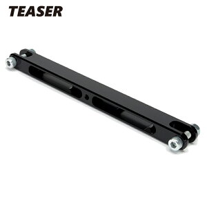 TEASERyT4C5Kz (eB[U[) gNbh BLACK ZEPHYR1100sSNt