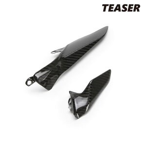 TEASER CGD01G CHAIN GUARD [DRY CARBON HG] DUCATI 1199PANIGALE(12-14) 1299PANIGALE(15-17) PANIGALE V2(20-24) �e�B�[�U�[ �J�[�{�� �`�F�[���K�[�h