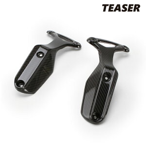 TEASER FFB09G FRONT FENDER Brackets�yDRY CARBON HG�z BMW R nine T (16-21) �e�B�[�U�[ �J�[�{�� �t�����g �t�F���_�[