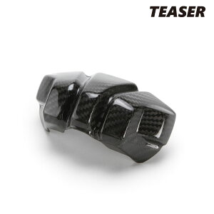 TEASER FMD02G FRONT MASK yDRY CARBON HGz DUCATI STREETFIGHTER V2 (21-) eB[U[ J[{ tg}XN