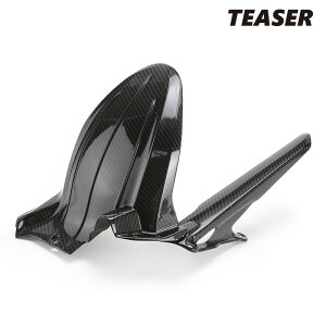TEASER RFD10G REAR FENDER (CHAIN CASE Set) �yDRY CARBON HG�z DUCATI MULTISTRADA V4 (20-23) MULTISTRADA V4S (20-23) MULTISTRADA V4S SPORT (20-23) �e�B�[�U�[ �J�[�{�� ���A�t�F���_�[ �`�F�[���P�[�X �Z�b�g
